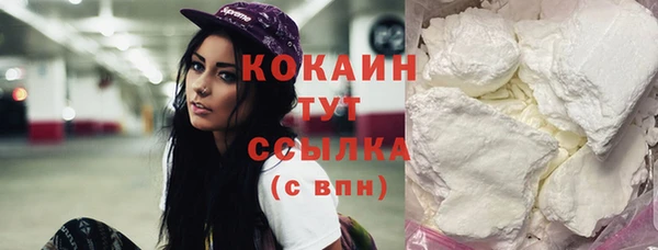сатива Бородино