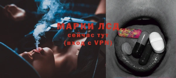 сатива Бородино