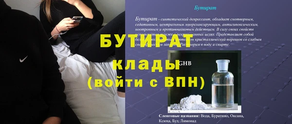 сатива Бородино
