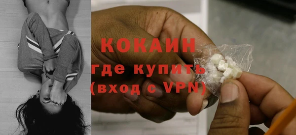 сатива Бородино