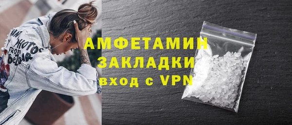 сатива Бородино