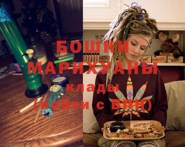 сатива Бородино