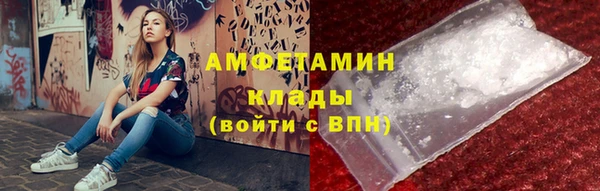 сатива Бородино