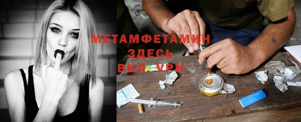 сатива Бородино