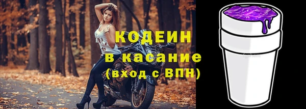 сатива Бородино