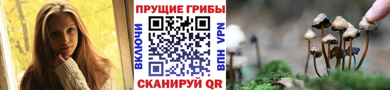 мега зеркало  Кызыл  Галлюциногенные грибы GOLDEN TEACHER 